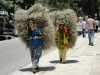 kullu-hard-working-woman